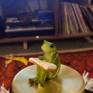 Small Frog Reading Book Decoration
